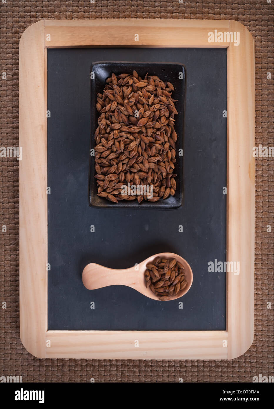 Semi Senna obtusifolia, Cinese Senna o sicklepod Foto Stock