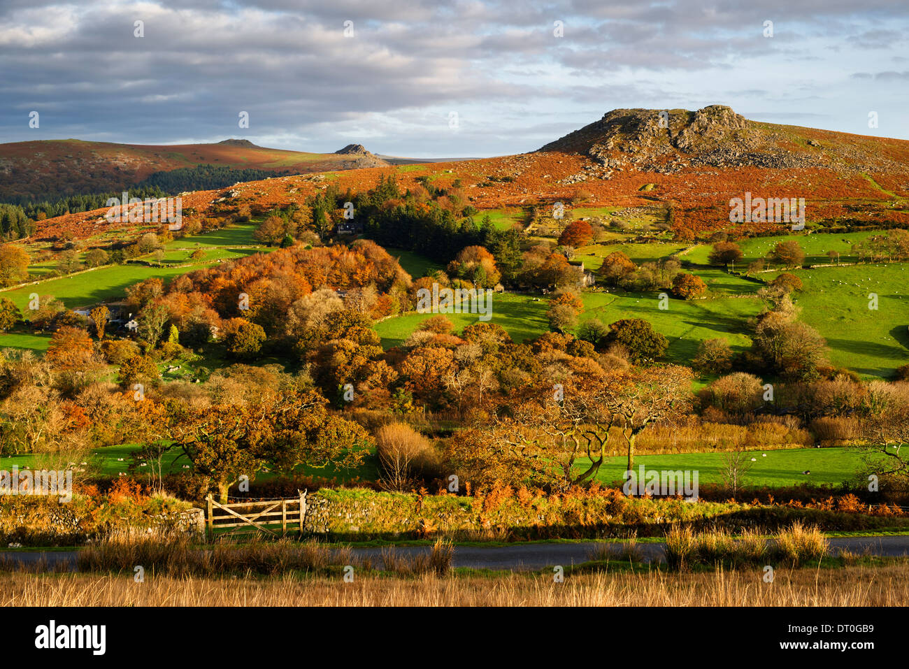 Vista su Dartmoor durante l'Autunno Foto Stock