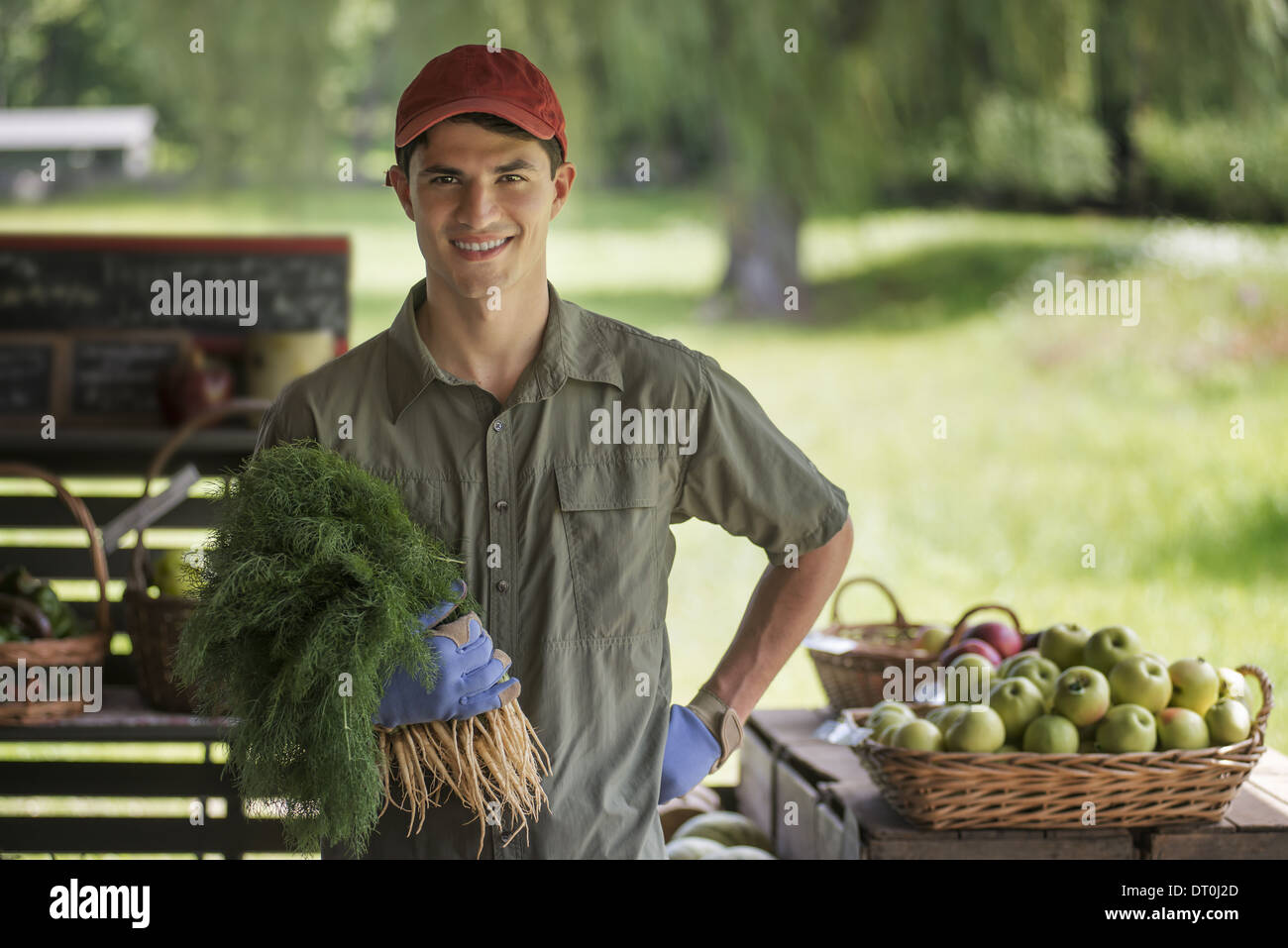 Frutta Brasiliana Immagini e Fotos Stock - Alamy