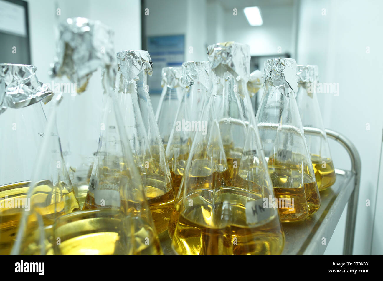 Biologici di mezzo sterile di bottiglie in un laboratorio di ricerca Foto Stock