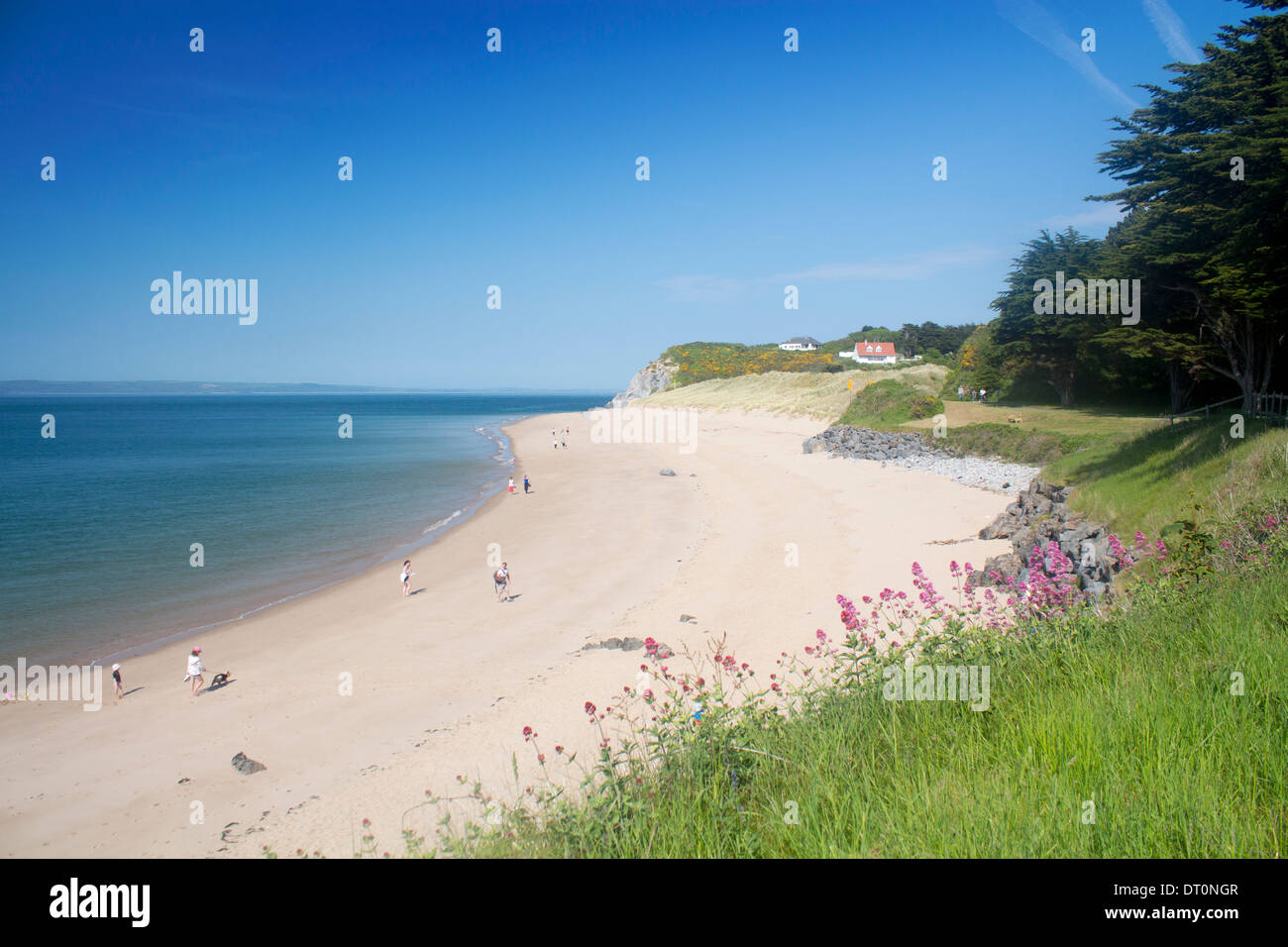 Isola di Caldey Ynys Pyr Priory Bay Beach Pembrokeshire West Wales UK Foto Stock