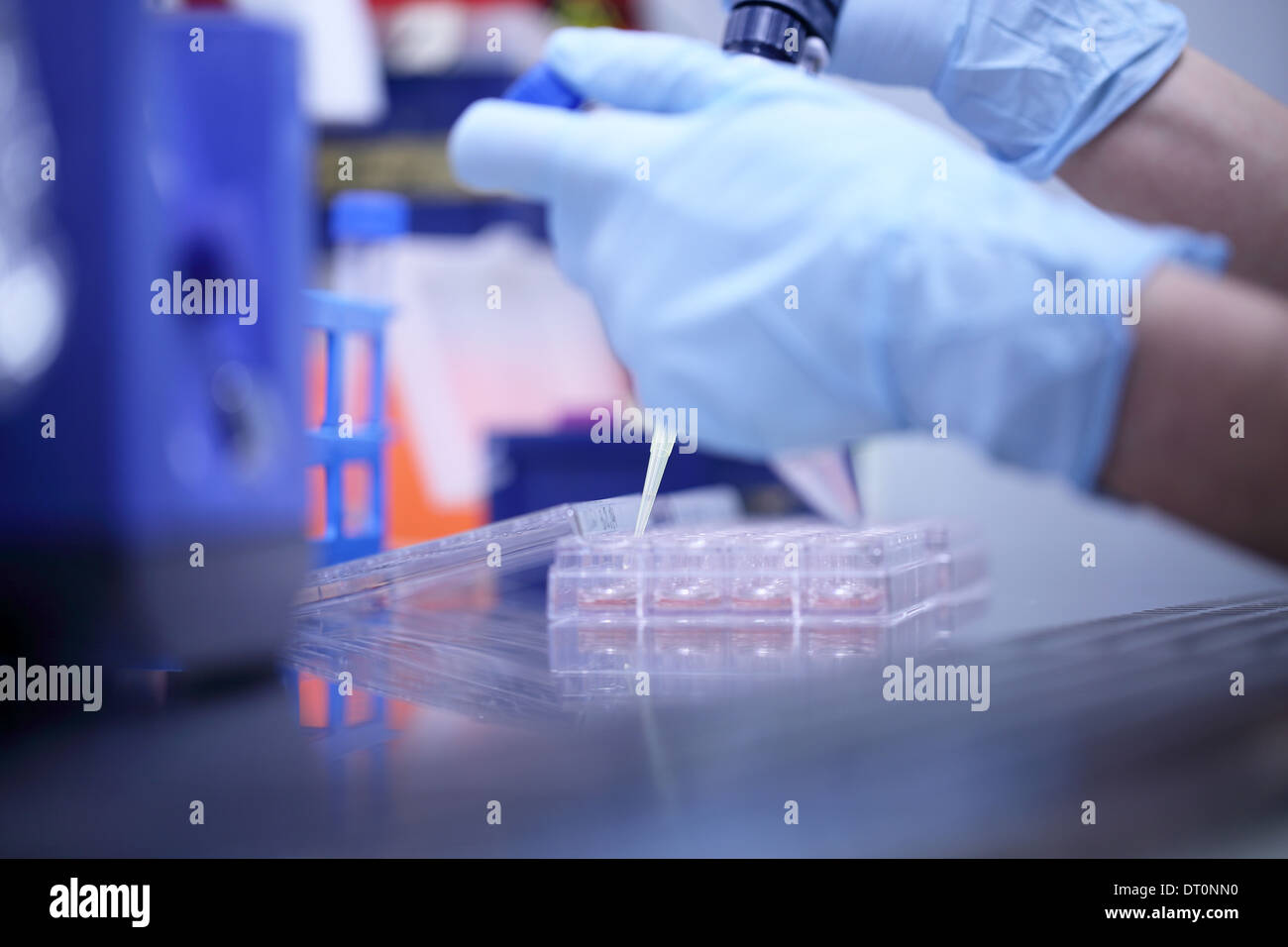 Strumenti di laboratorio o di fasi di lavoro in un lavoro biologico della ricerca Foto Stock