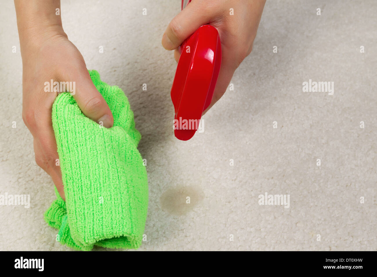 Foto orizzontale di mani femminili macchia di pulizia nel tappeto con la bottiglia spray e panno in microfibra Foto Stock