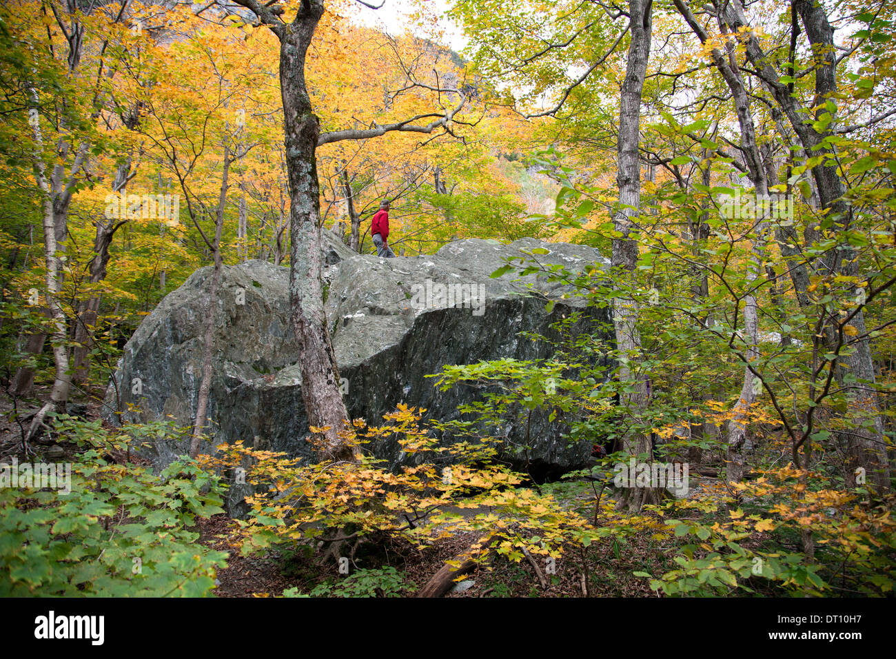 Un escursionista solitario gode di inizio autunno a colori fodera Smugglers' Notch sul VT 108, fra Stowe e Jeffersonville, Vermont. Foto Stock