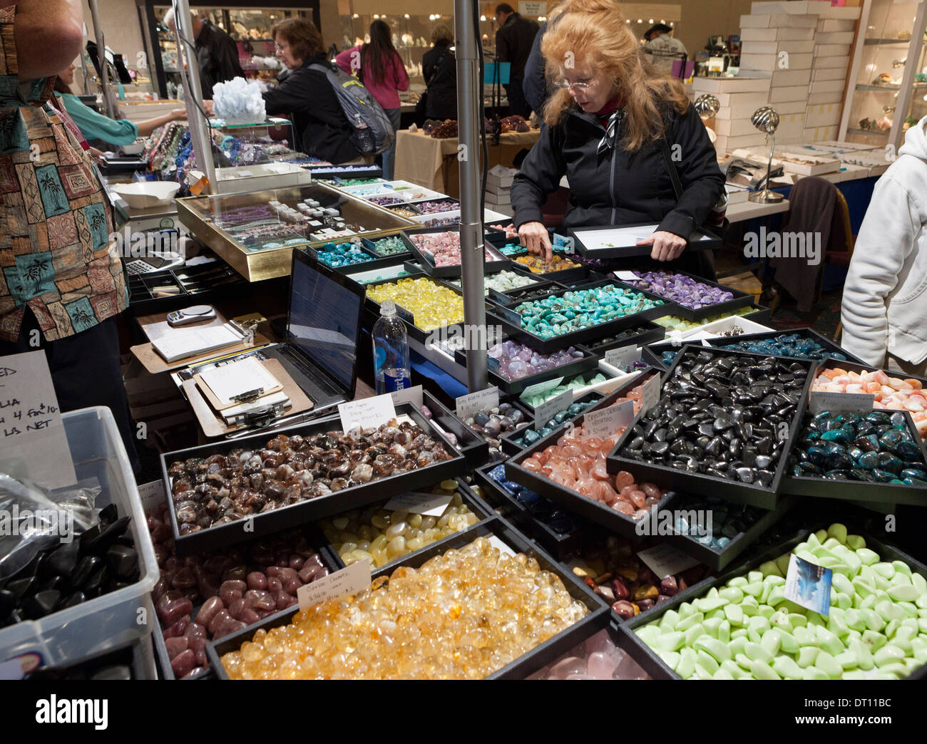 Visualizza delle gemme, minerali rocce, cristalli, fossili, e meteoriti presso la gemma annuale e Mineral Show in Tucson, Arizona Foto Stock
