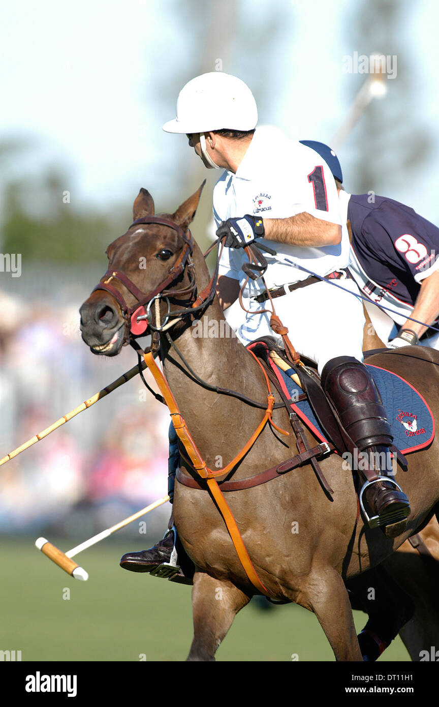 Partita di polo, Victor Vargas, Palm Beach Club di Polo, Florida Polo Club Foto Stock