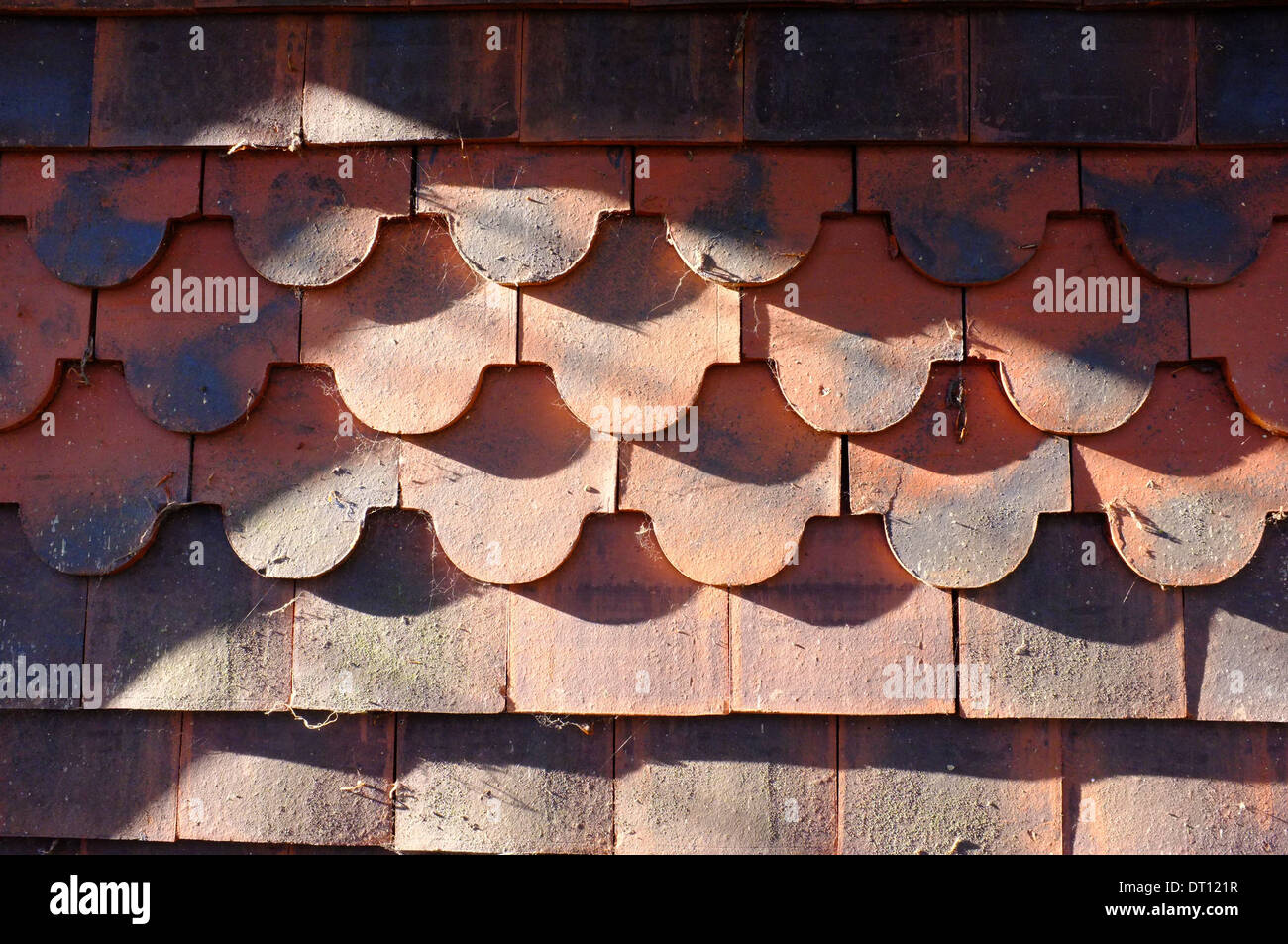 Decorazione di piastrelle in terracotta Foto Stock