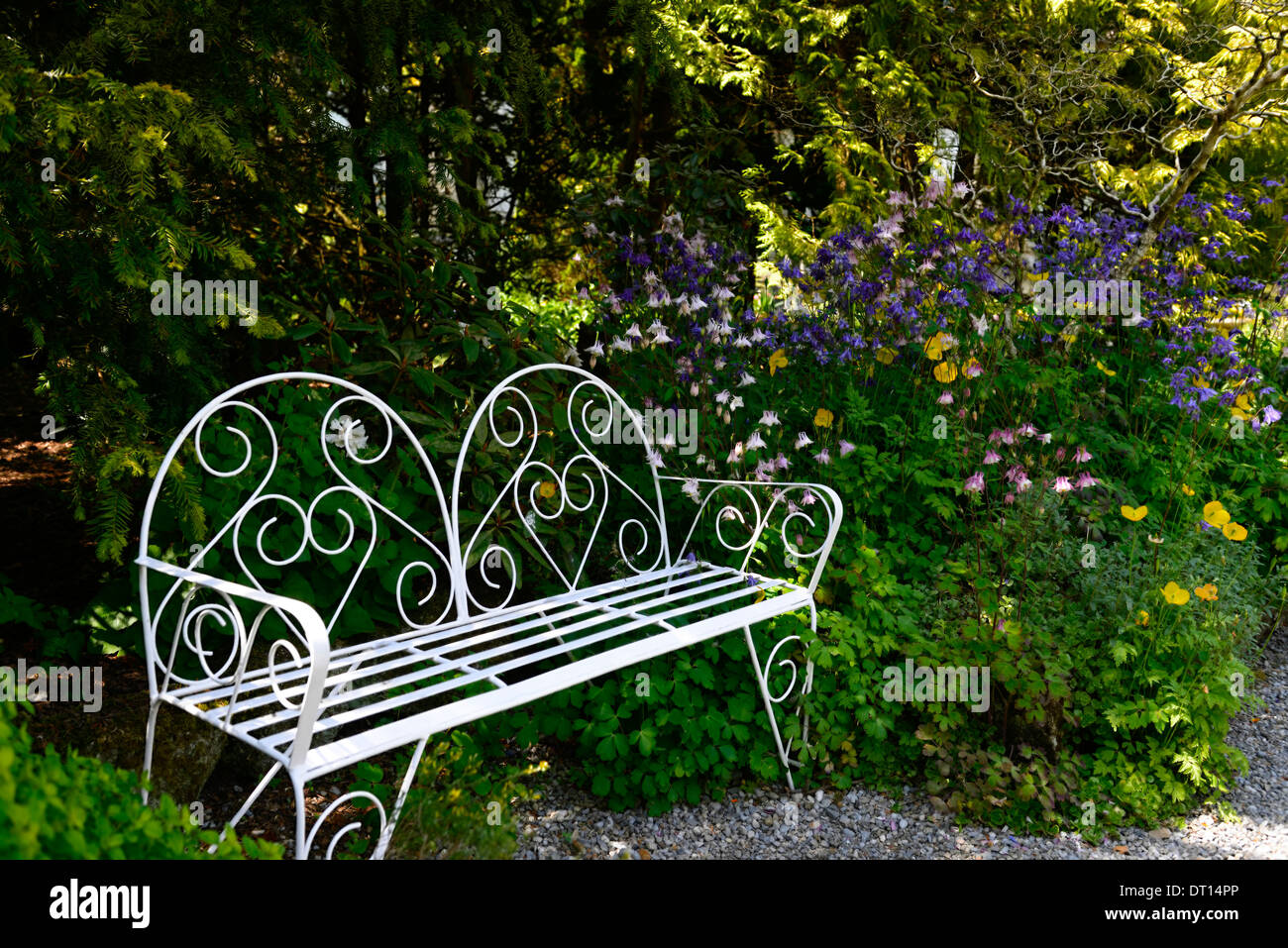 Metallo bianco ferro battuto bianco sedile unico giardinaggio giardino ombreggiato mobili posti a sedere ombreggiato patio area di confine Foto Stock