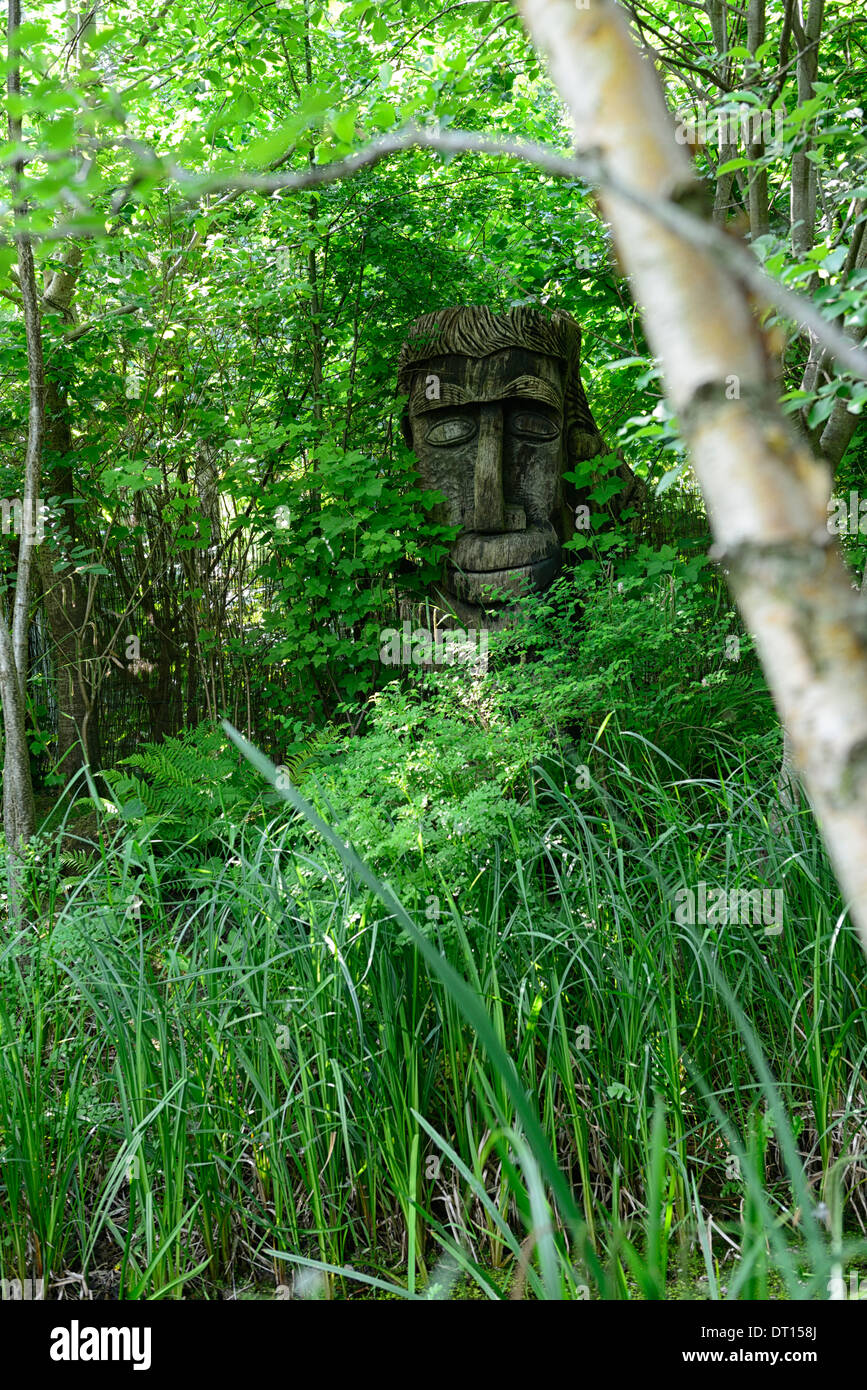 Legno di legno tronco di albero scultura faccia foresta vivente live viva arte scultura giardino ombra ombra ombra Foto Stock