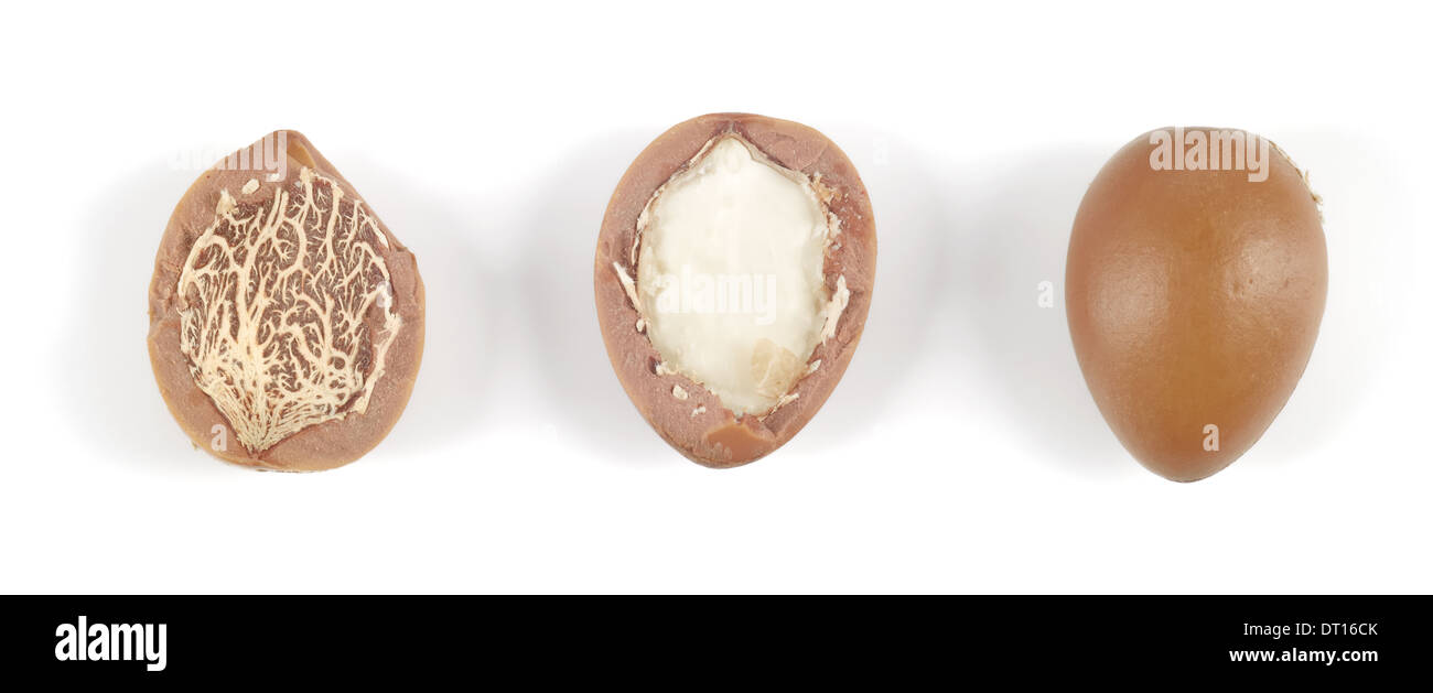 Close up di argan dadi in una fila su un fondo bianco. Orizzontale di studio shot. Foto Stock