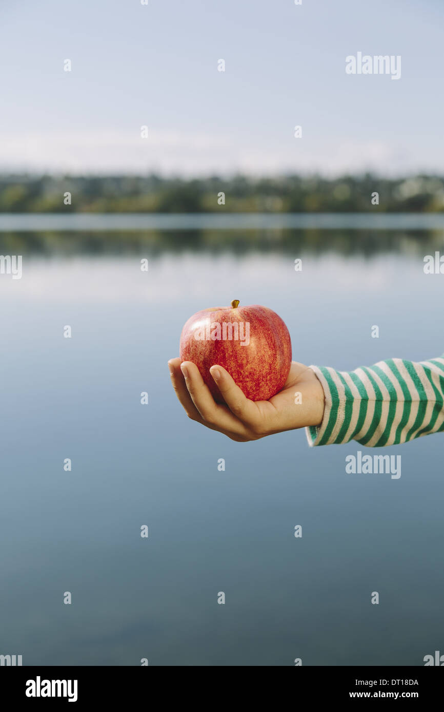 Seattle Washington USA dettaglio di 9 anno vecchia ragazza azienda apple organico Foto Stock