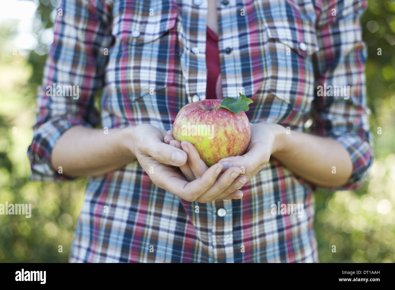 Woodstock New York STATI UNITI D'AMERICA donna in plaid shirt azienda grande apple organico Foto Stock