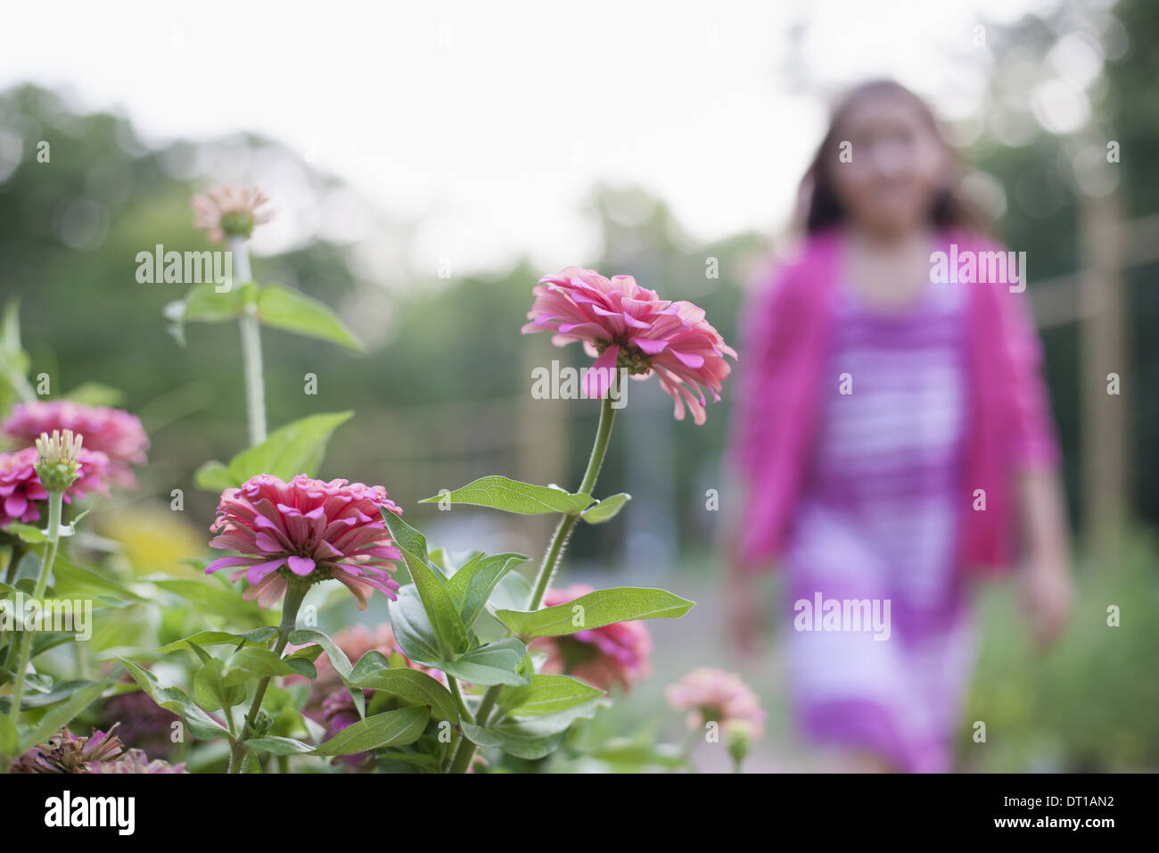 Woodstock New York STATI UNITI D'AMERICA giovane ragazza abito rosa a camminare lungo il letto di fiori Foto Stock