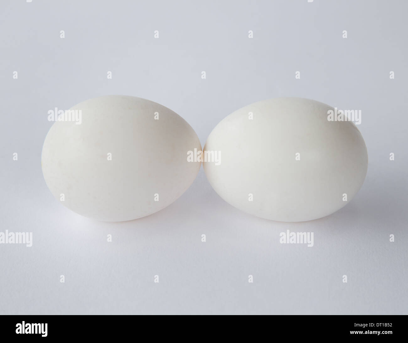 Due free range le uova organiche conchiglie bianche Foto Stock