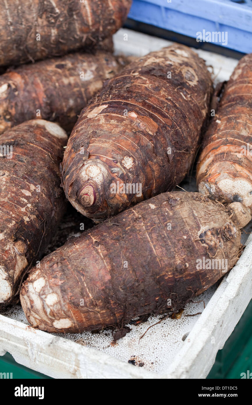 Patate dolci (Ipomoea batatas). Coltivati vegetali di radice. Strada di stallo del mercato. Costa Rica. America centrale. Foto Stock