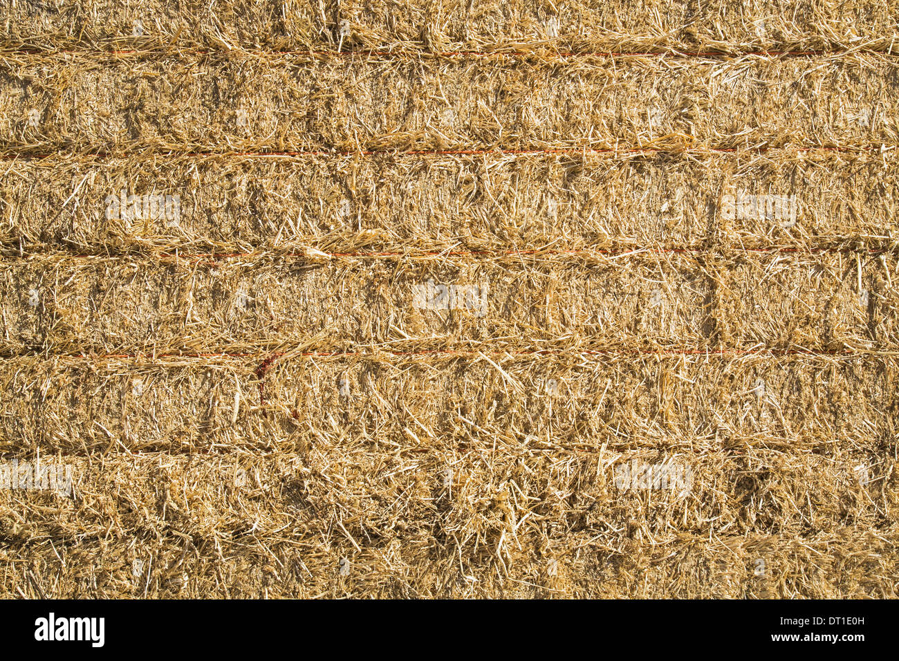 Stato di Washington USA balle di fieno impilate in su erba secca culmi in colli Foto Stock