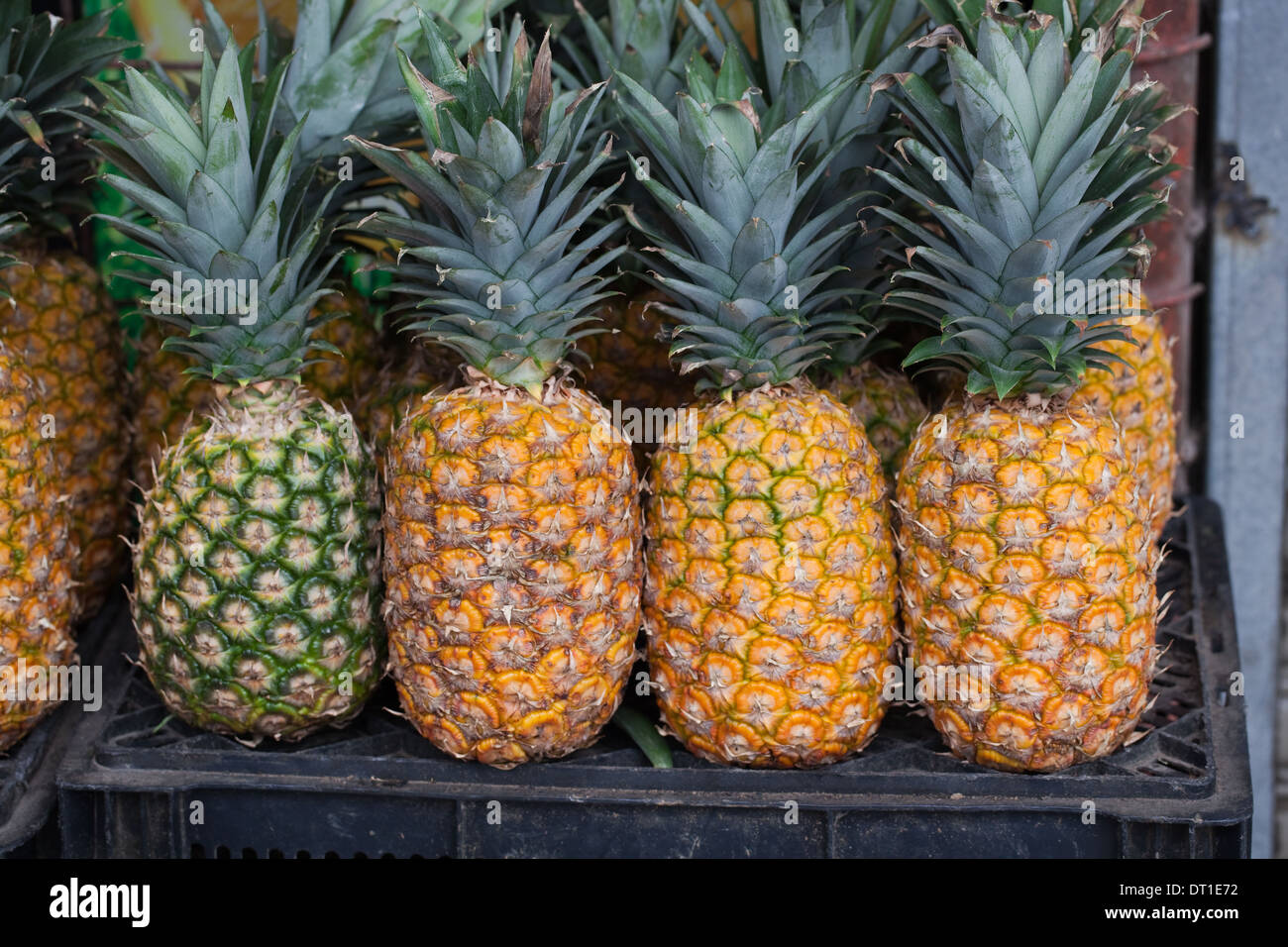 Ananas (Ananas comosus), "frutti". Strada di stallo del mercato. Costa Rica. Foto Stock