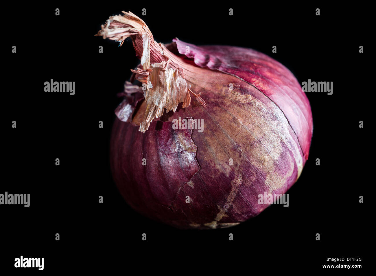 Cipolla rossa Foto Stock