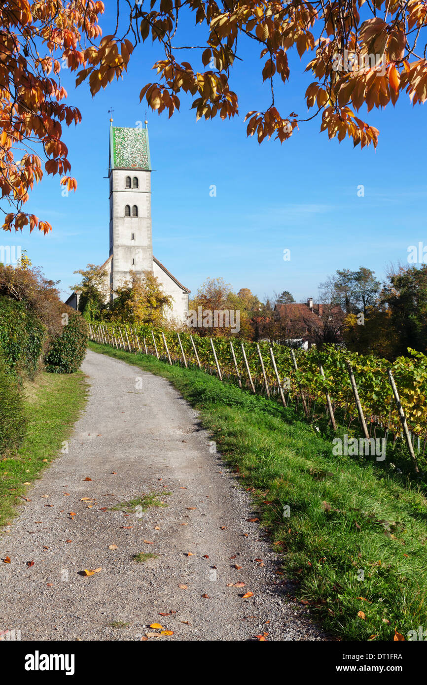 Il percorso che conduce attraverso i vigneti di una chiesa, Meersburg, Lago di Costanza (Bodensee), Baden Wurttemberg, Germania, Europa Foto Stock