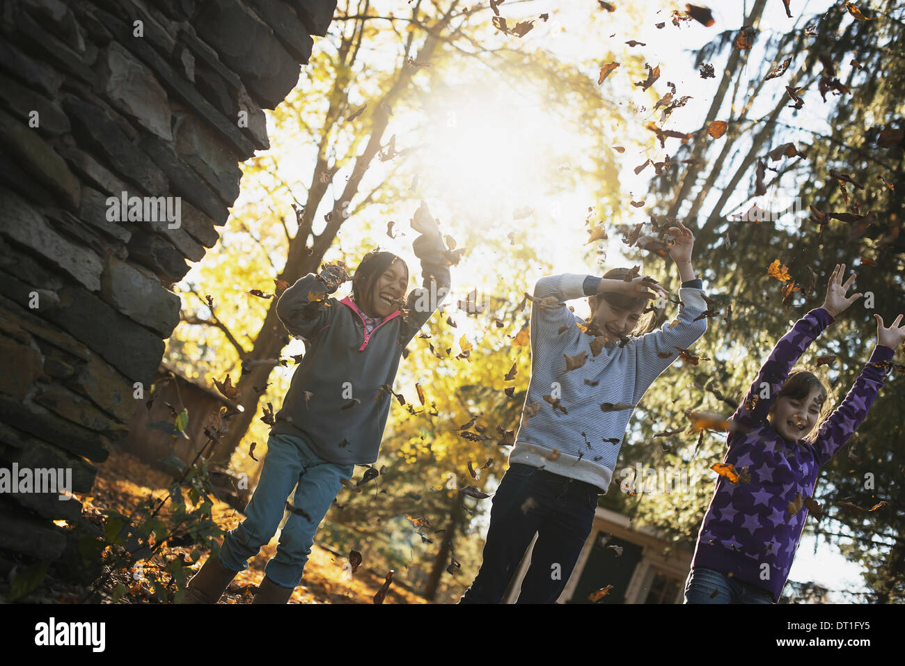 Tre bambini in autunno sunshine giocare all'aperto gettando la caduta foglie in aria Foto Stock