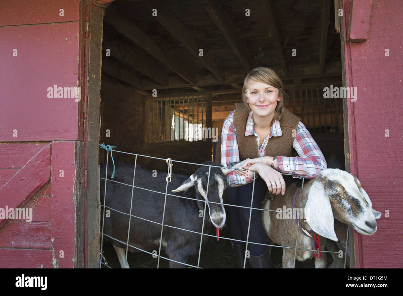 Un allevamento di capre di una giovane ragazza appoggiata sulla barriera della capra capannone con due animali del peering out Foto Stock