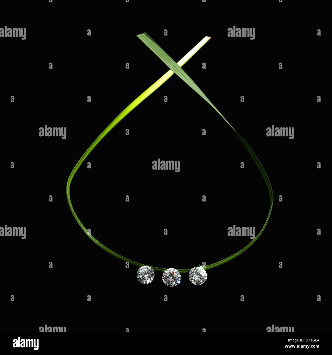 Decorazioni a foglia verde cosa e piatto in un ciclo con tre piccoli gem tagliare le perline di vetro riflettente la luce Foto Stock