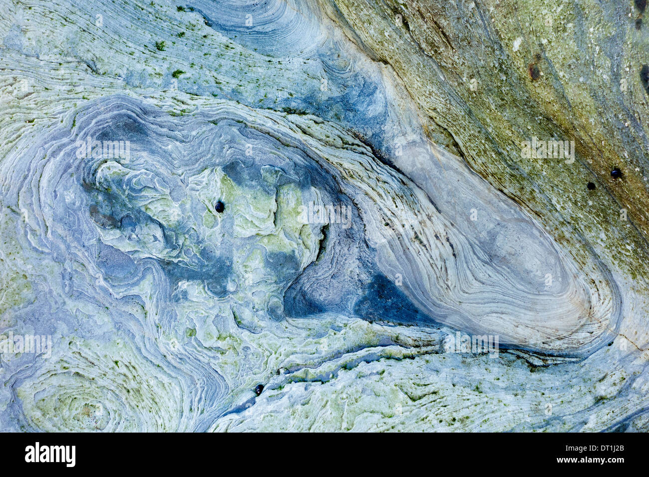 Patterns in rock, North Yorkshire Coast Foto Stock