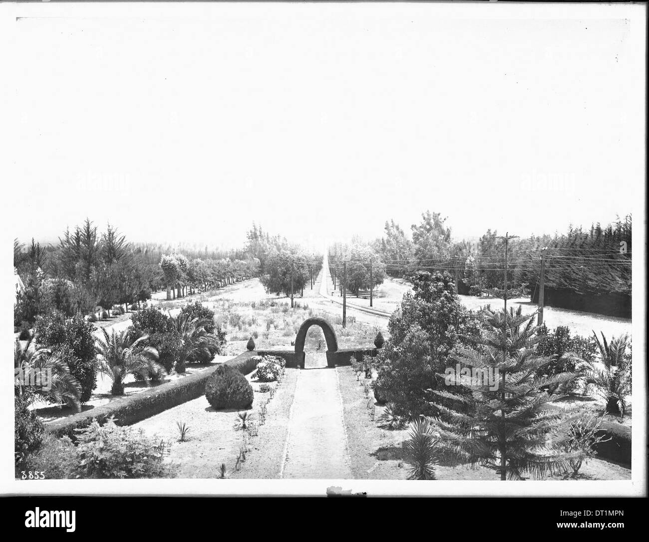 Giardino sul viale alberato Euclid Avenue, Ontario, California, ca.1900 Foto Stock