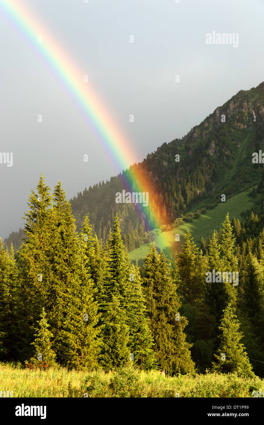 Arcobaleno nel Dzungarian montagne Alatau, Kazakistan Foto Stock