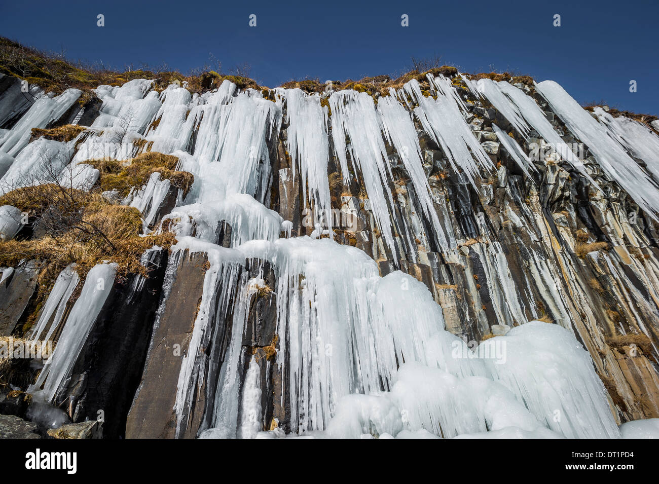 Svartifoss (nero cade) in inverno, Skaftafell, Vatnajokull National Park, Islanda Svartifoss è circondato da colonne di basalto. Foto Stock