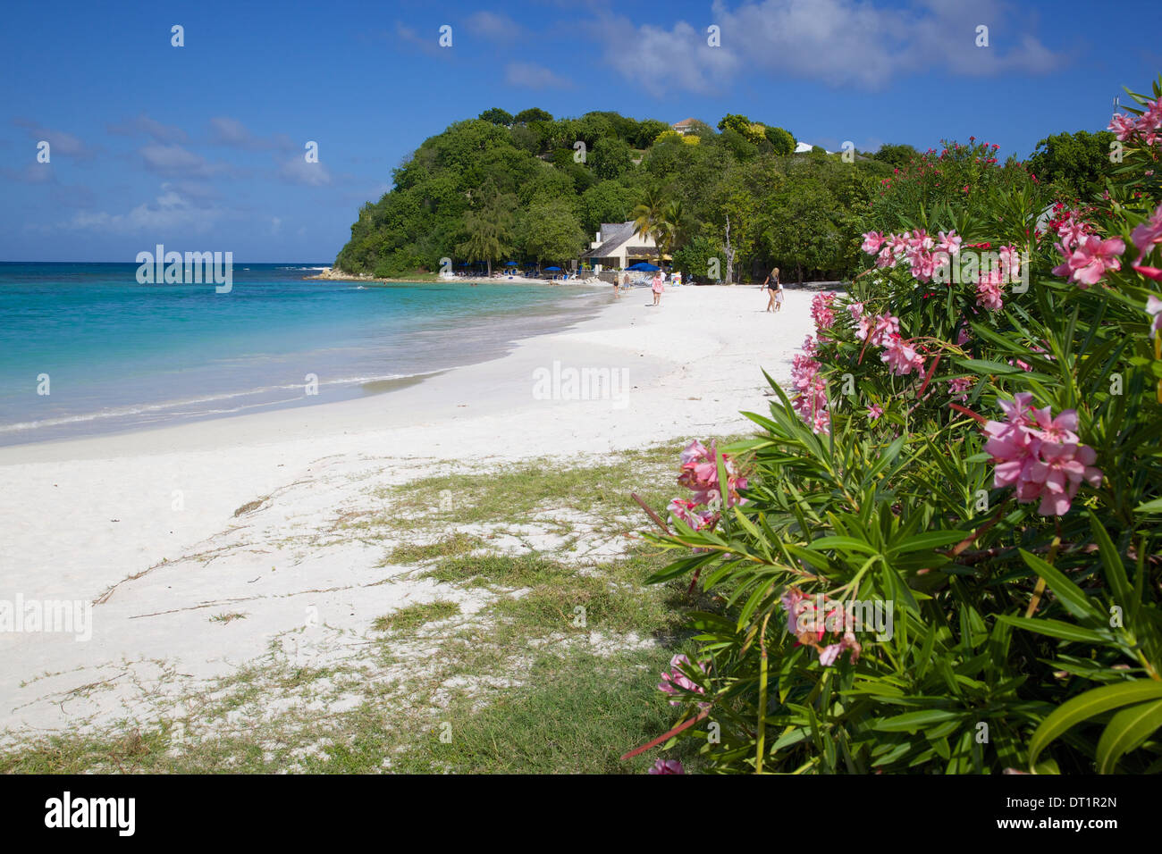 Long Bay e la spiaggia, Antigua, Isole Sottovento, West Indies, dei Caraibi e America centrale Foto Stock