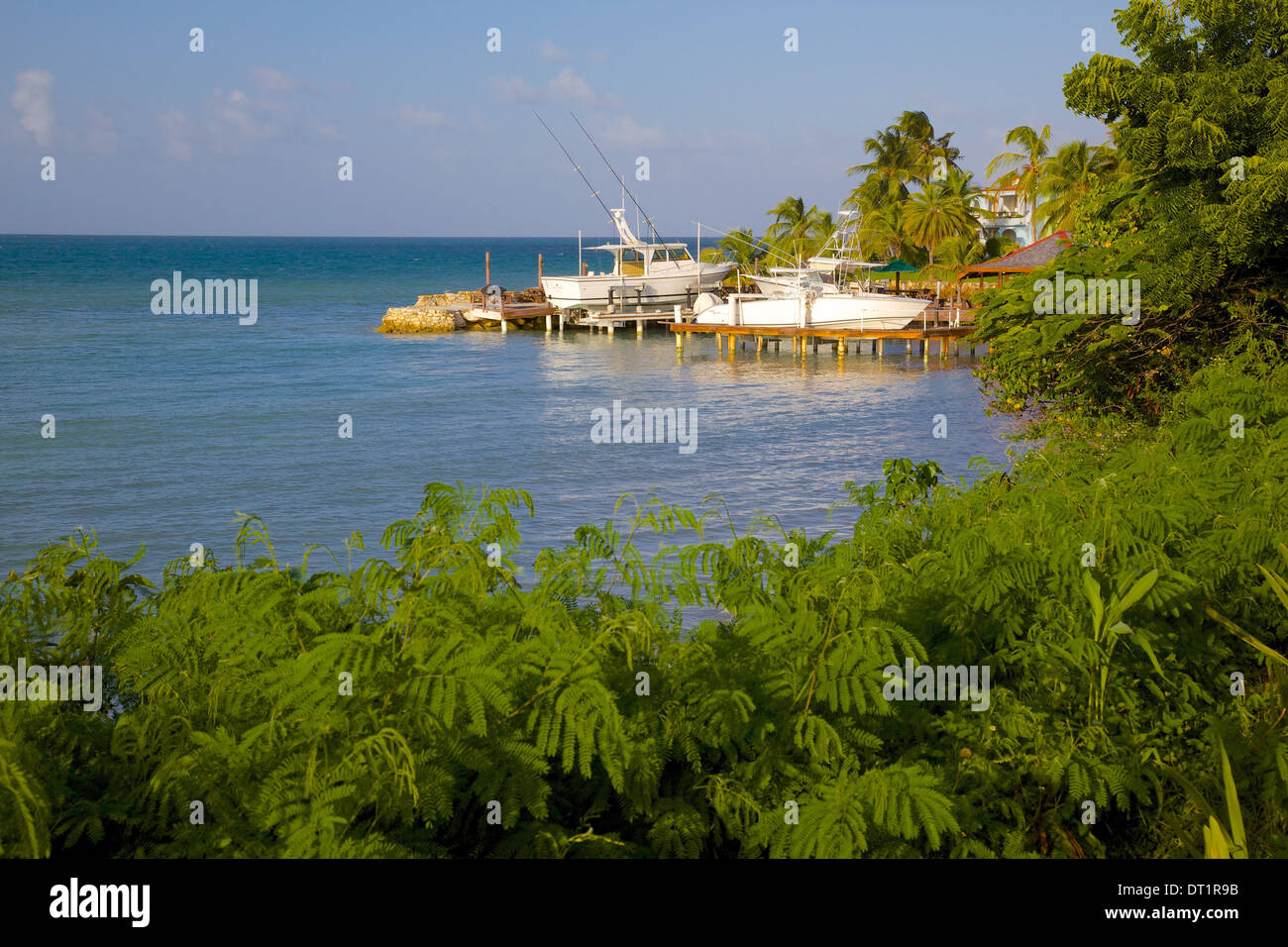 Costa vicino Gracefield, St. Georges, Antigua, Isole Sottovento, West Indies, dei Caraibi e America centrale Foto Stock