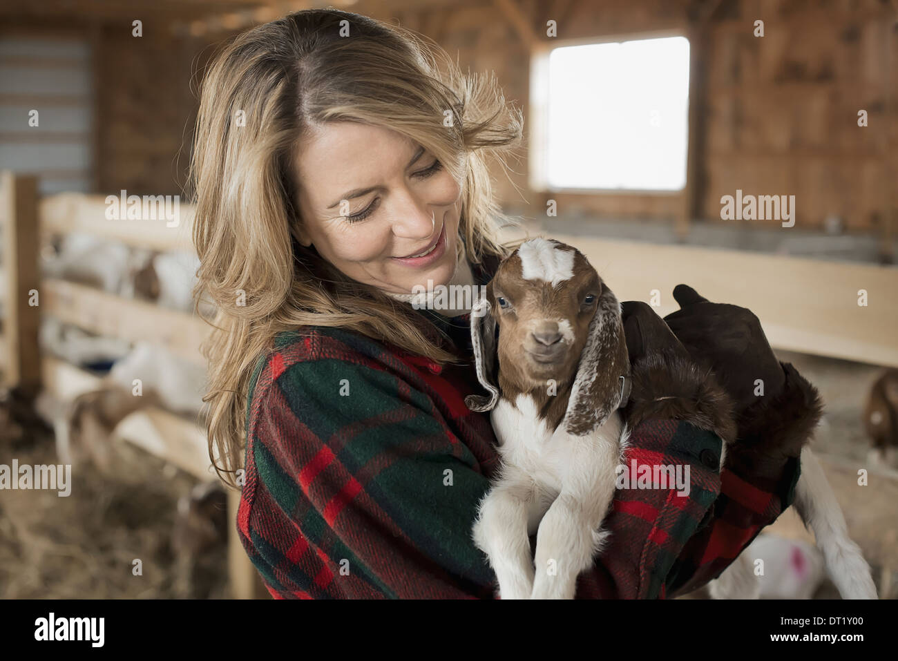 Una donna che cullano un giovane capretto nelle sue braccia in un agriturismo Foto Stock