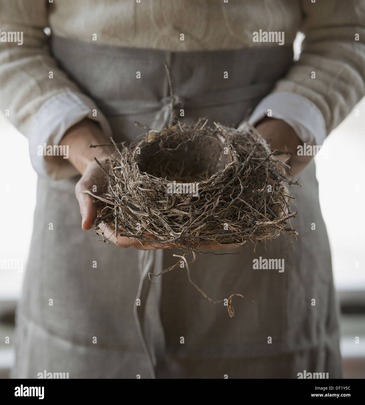 Un agriturismo biologico in inverno nello Stato di New York STATI UNITI D'AMERICA una donna in un grembiule da lavoro tenendo un ramoscello tessuti nido di uccelli Foto Stock