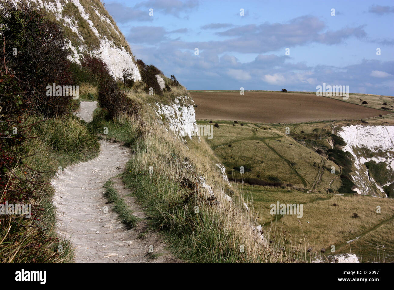 Una vista della scogliera visto dallo stretto sentiero che conduce fino al lato delle bianche scogliere di Dover Foto Stock