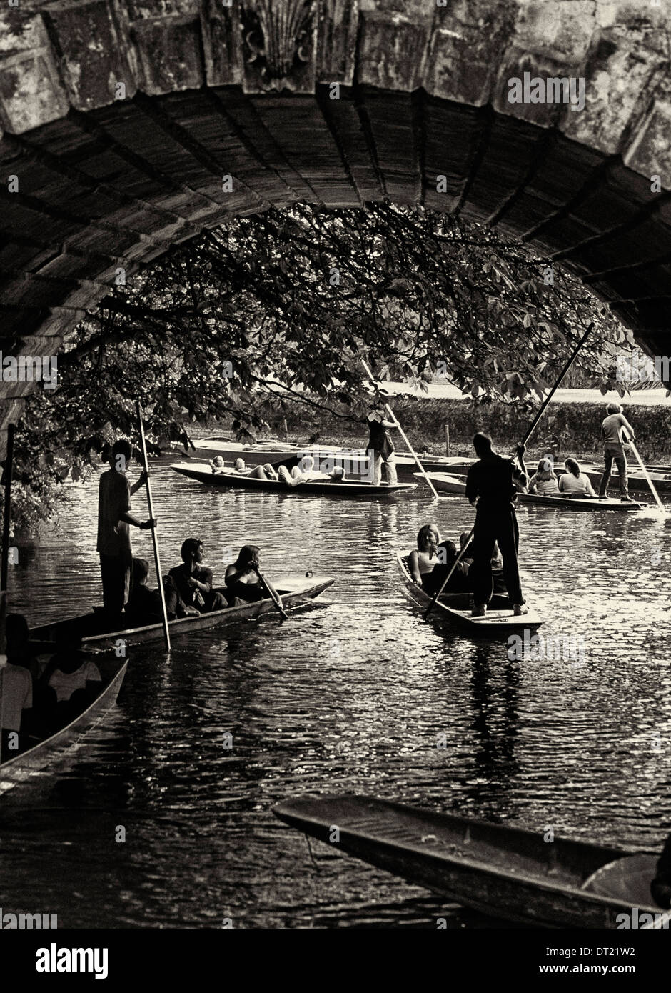 Gli studenti punting sul fiume Cherwell, Oxford Foto Stock