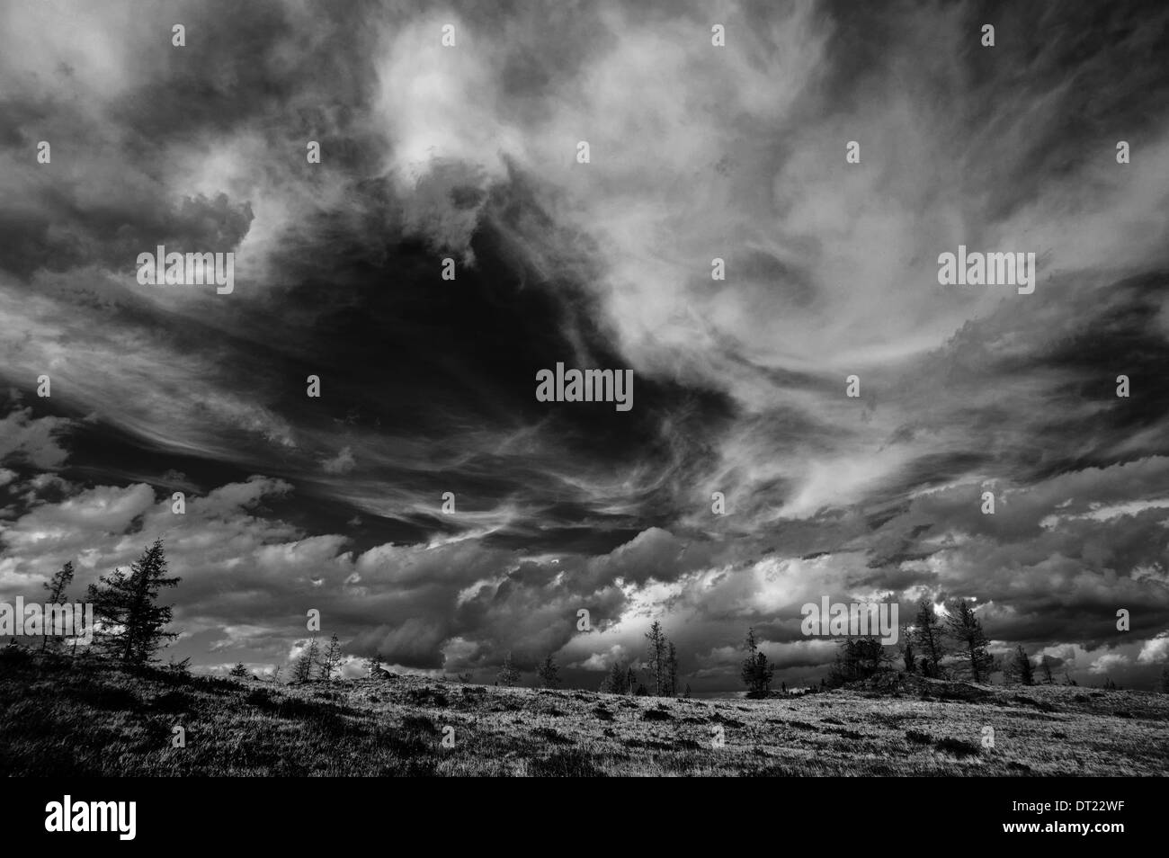 Drammatico in bianco e nero il cielo con le nuvole e alberi all'orizzonte Foto Stock