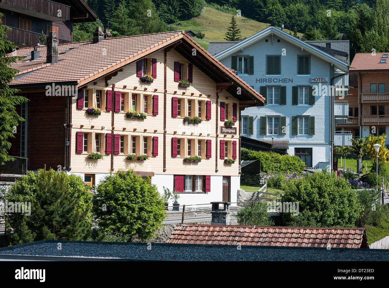 Swiss chalet alpengruss in Wengen Oberland Bernese svizzera Foto Stock