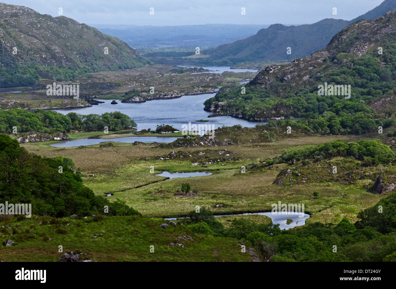 Ladies View per i laghi di Killarney sull'anello di Kerry, paese di Kerry, Irlanda Foto Stock