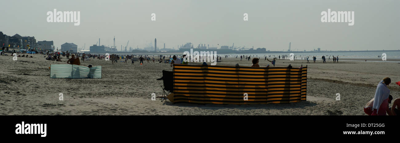 Sabbiosa spiaggia tropicale lucertole da mare blu calda e rilassante Foto Stock