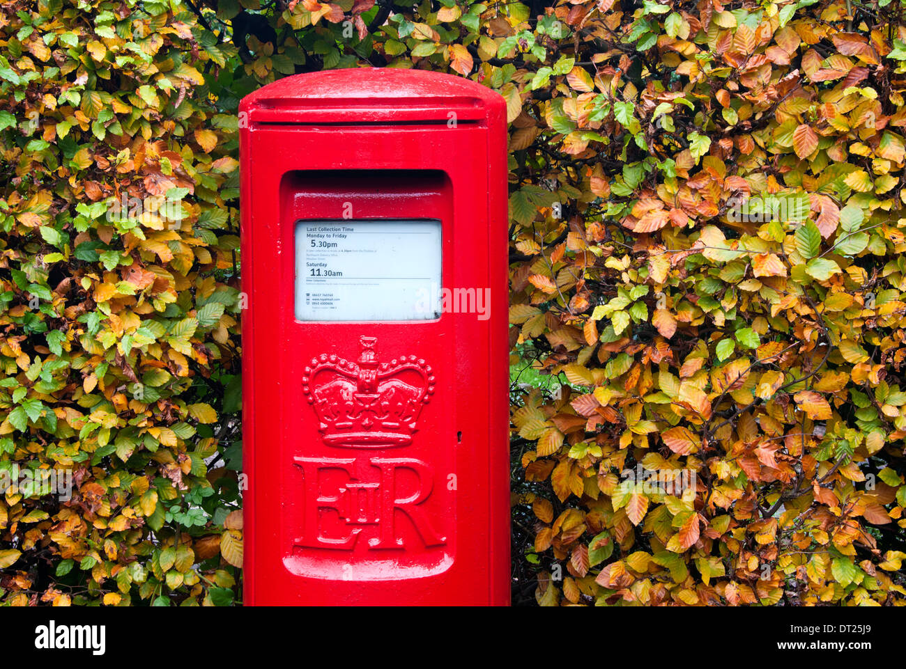 Rosso brillante Post Box circondato da foglie autunnali, Cheshire, Inghilterra Foto Stock