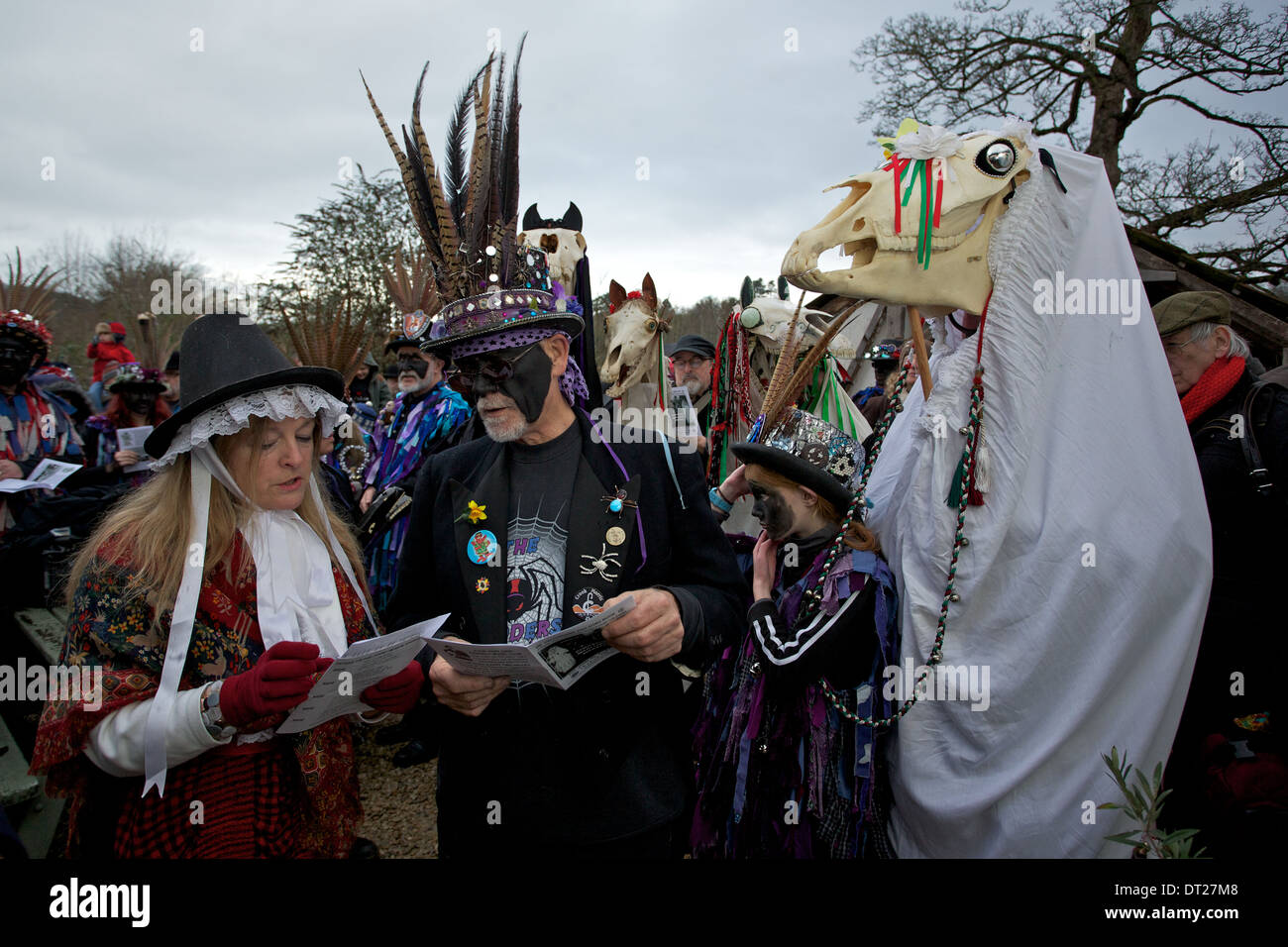 'Mari Lwyd' o grigio mare le celebrazioni a Chepstow Wales UK un gallese tradizione midwinter per festeggiare il nuovo anno Foto Stock