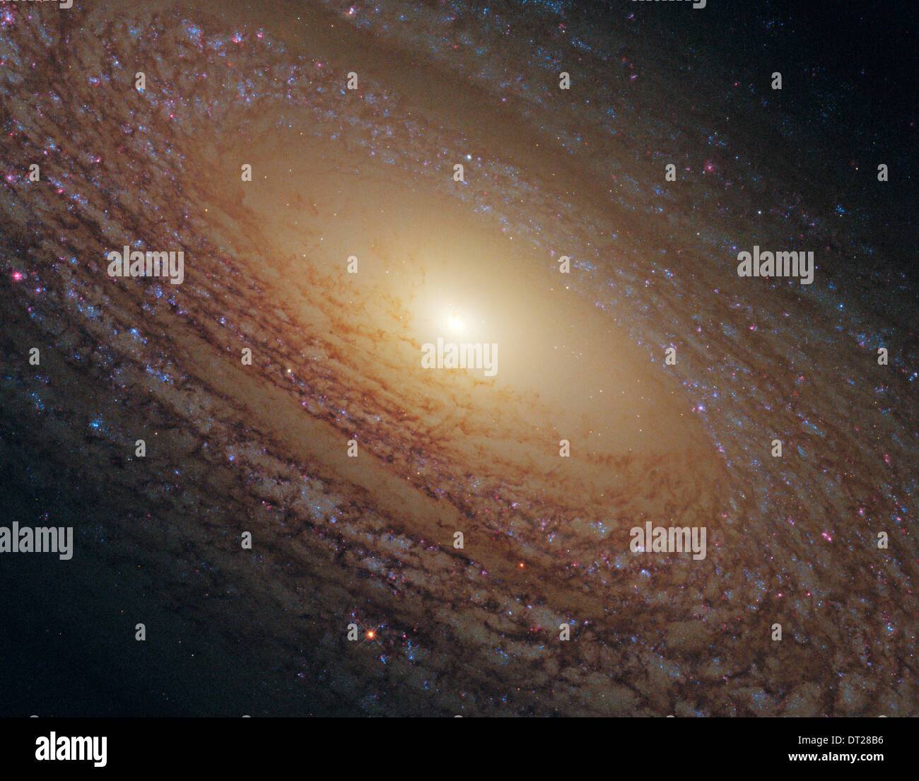 Galassia a spirale NGC 2841 Foto Stock