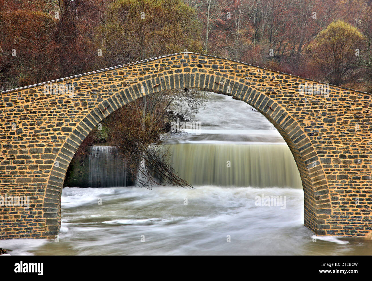 La pietra ponte arcuato di Paleomagero fiume, vicino al villaggio di Dasyllio, Grevena, Macedonia, Grecia. Foto Stock