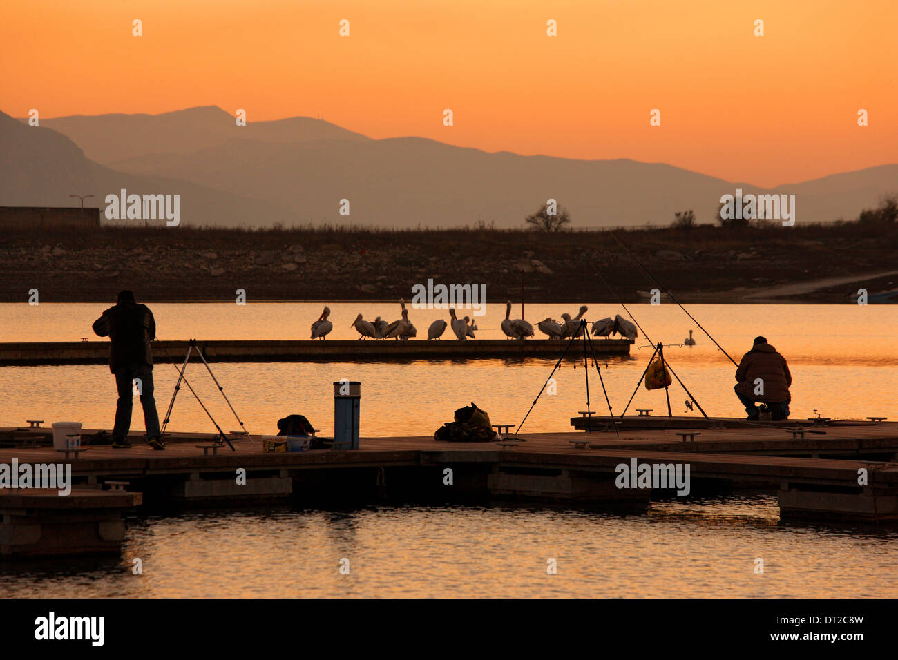 I pescatori e cicogne presso il Club Nautico di Kozani, Polyfytos lago, Macedonia, Grecia. Foto Stock