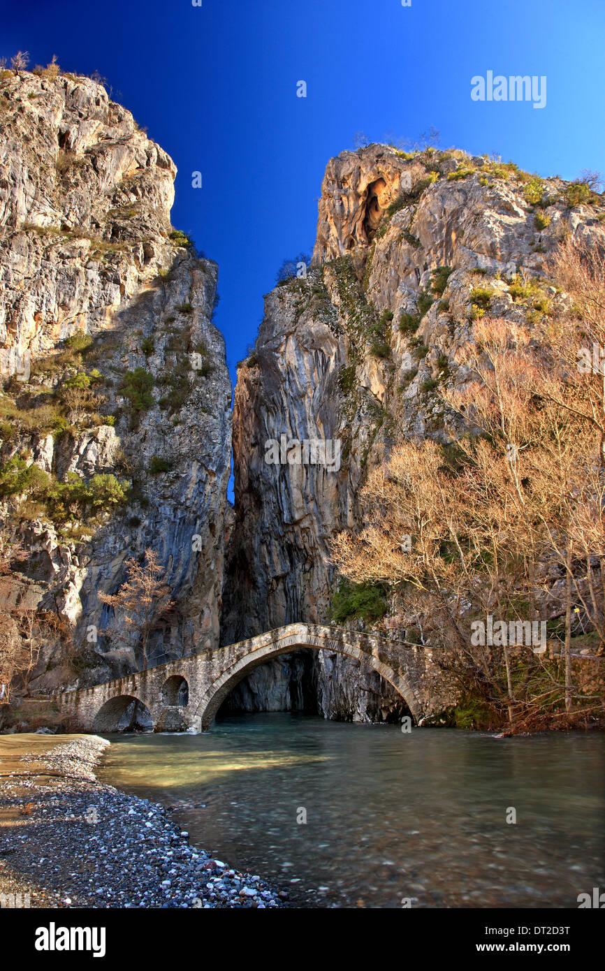 Il vecchio casale ponte arcuato e il canyon di Portitsa, vicino al villaggio di spileo, Grevena, Macedonia, Grecia. Foto Stock