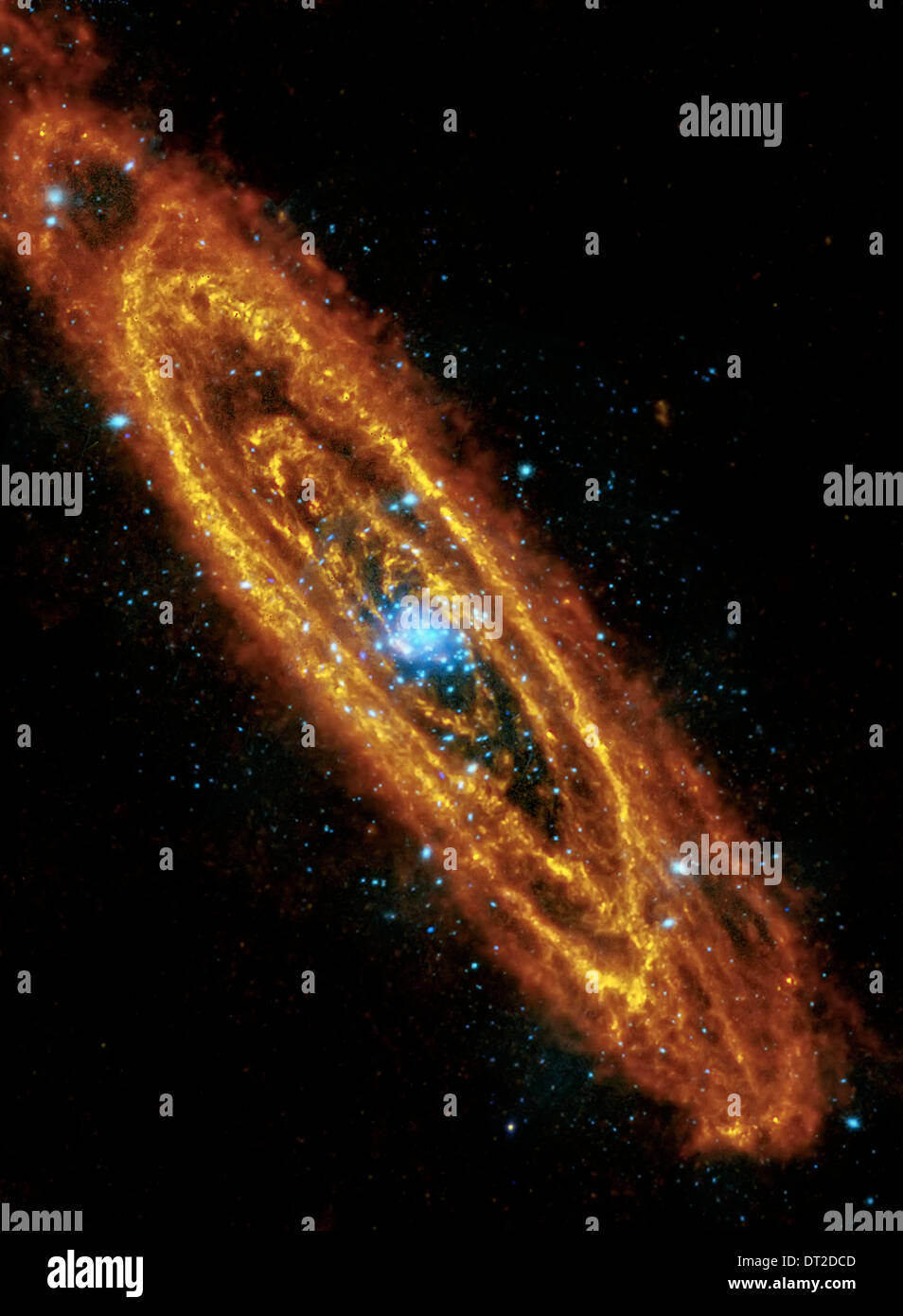 Vista l'Andromeda galassia a spirale highlights esplosivo stelle al suo interno e lo scambiatore di calore e polveroso stelle formando nei suoi anelli. Foto Stock