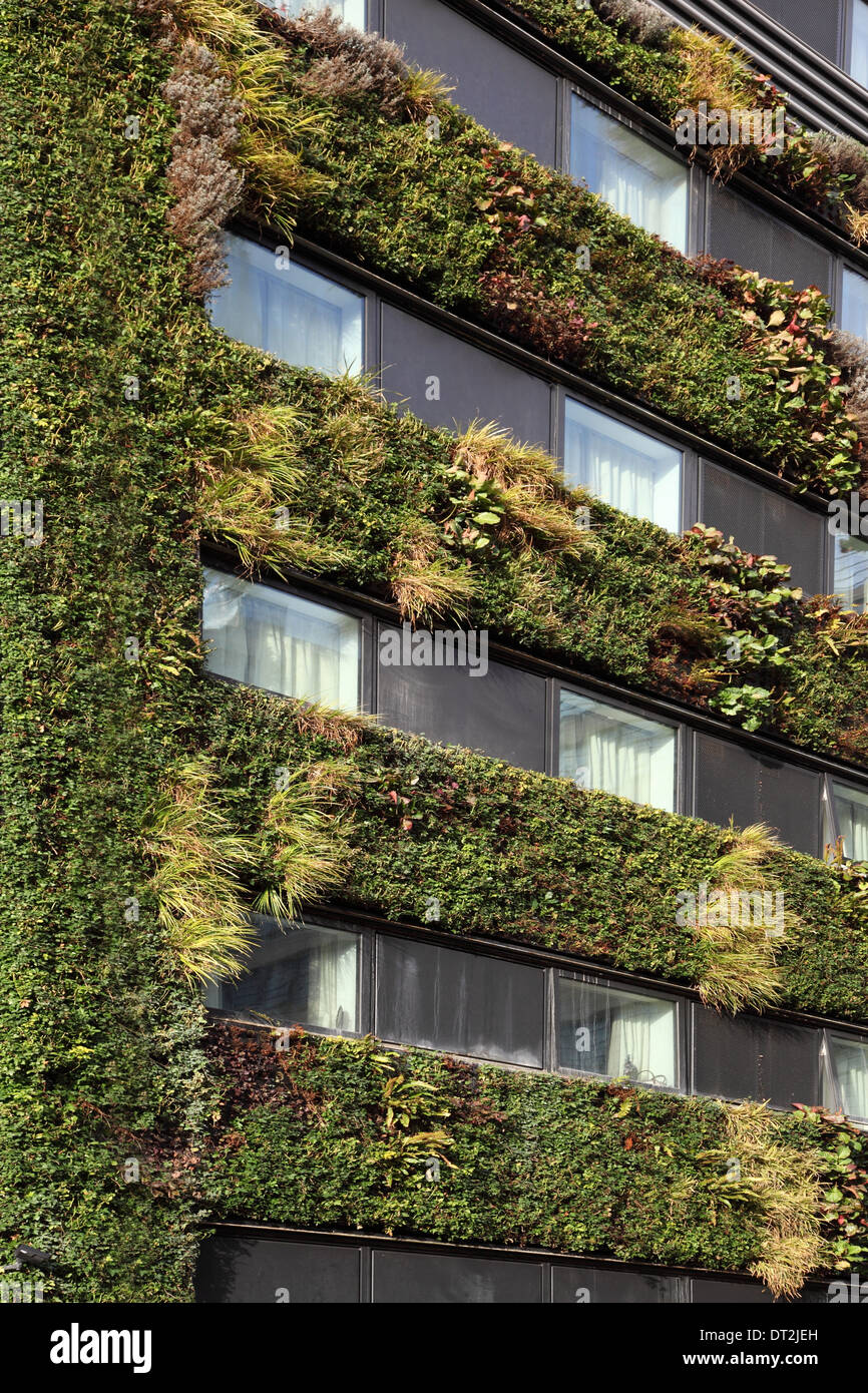 Un impianto coperto vivere verde sulla parete di un nuovo edificio per uffici nella città di Londra, Regno Unito Foto Stock