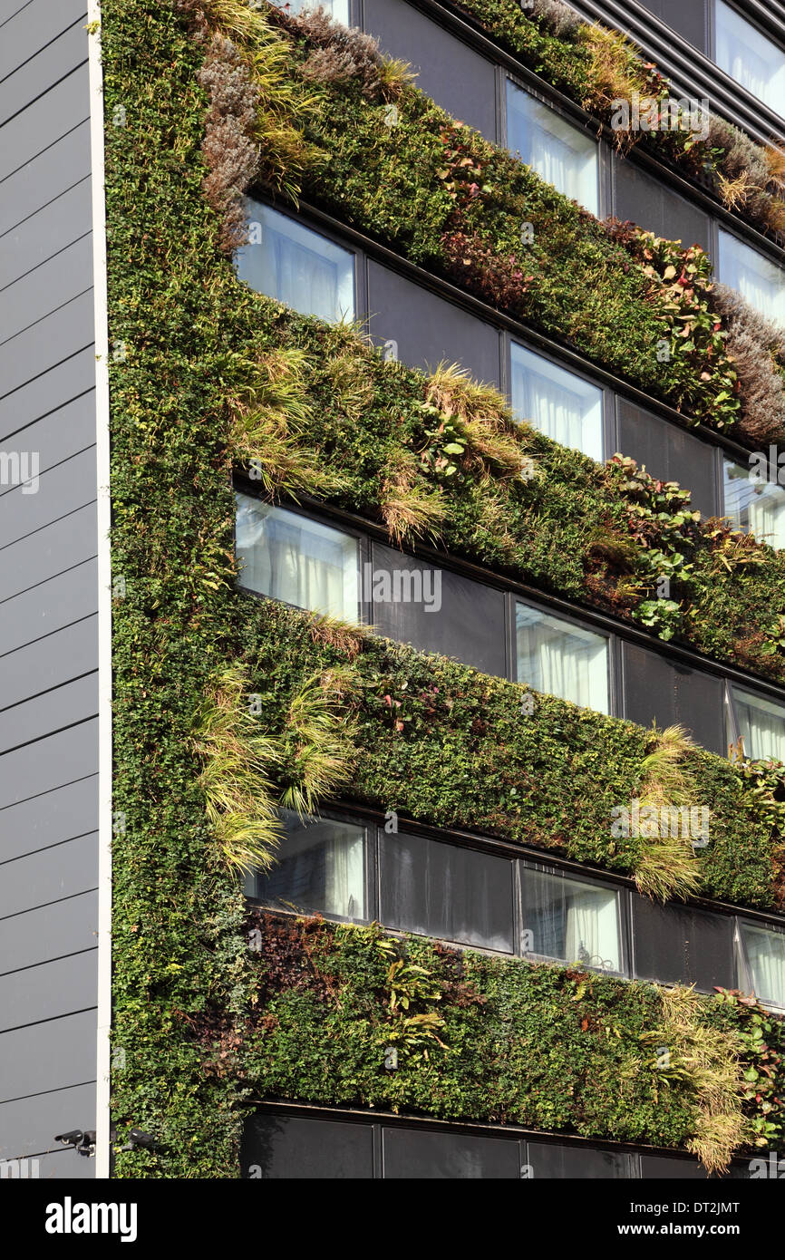 Un impianto coperto vivere verde sulla parete di un nuovo edificio per uffici nella città di Londra, Regno Unito Foto Stock