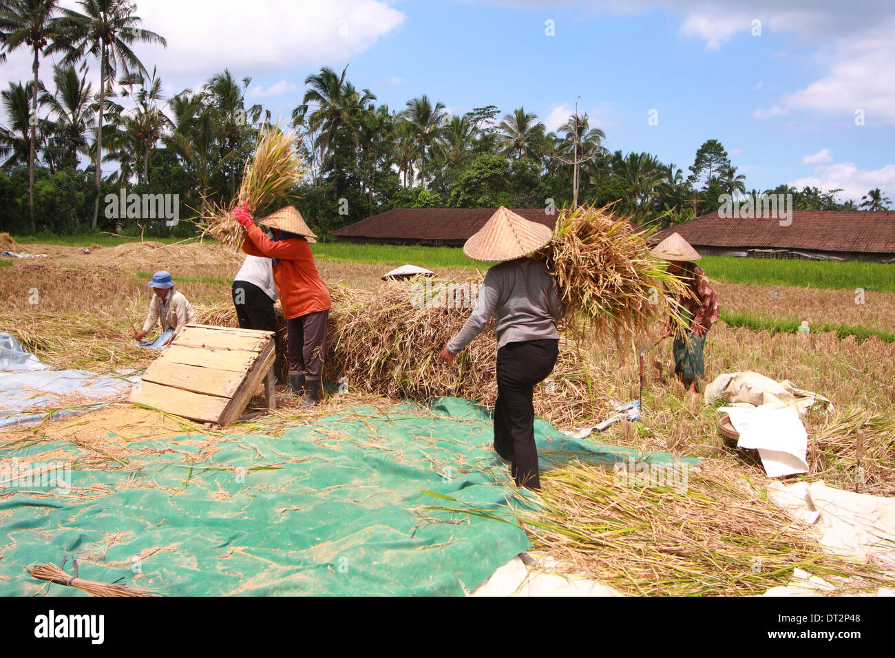 BALI, INDONESIA Foto Stock